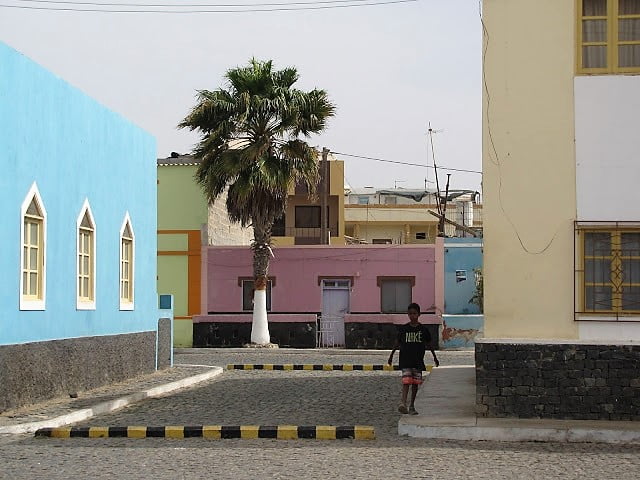 Kap Verde Palmeira