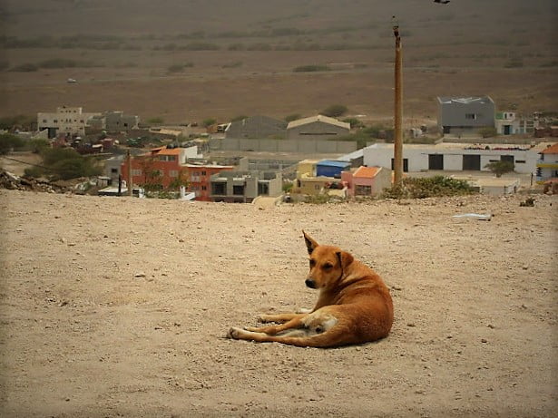 Päiväretki Salin saarella Kap Verdellä