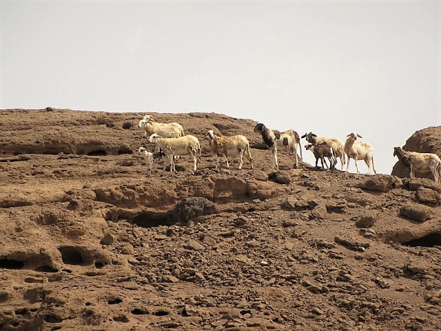 Kap Verde Petra de Lume