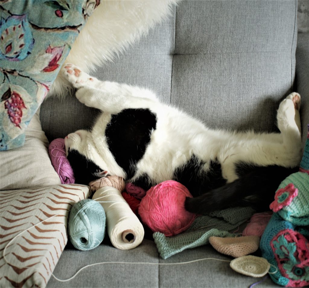 Toivo Kohti avaraa maailmaa