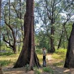 Phuket Sandbox Nai Yang Beach