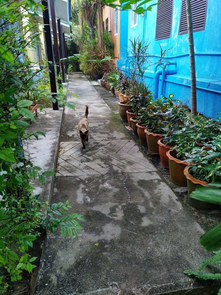 Phuket Muyang District