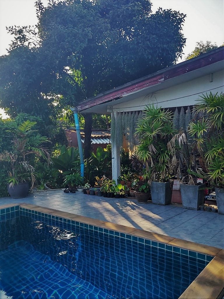 Phuket Mueang District ja Muay Thai