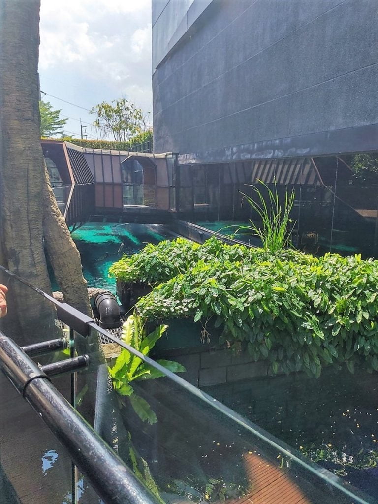 Meditatiivinen Aquaria Phuket