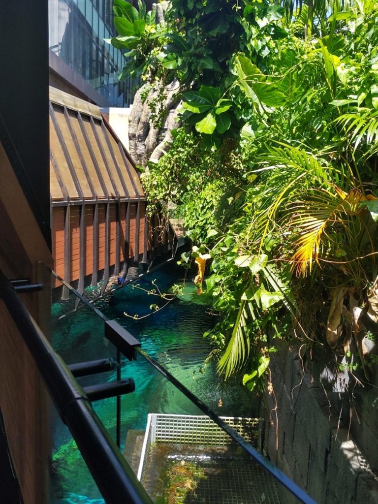 Meditatiivinen Aquaria Phuket