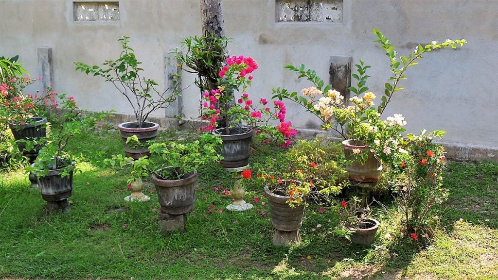 Sri Lanka, ensimmäinen kohde... Negombo