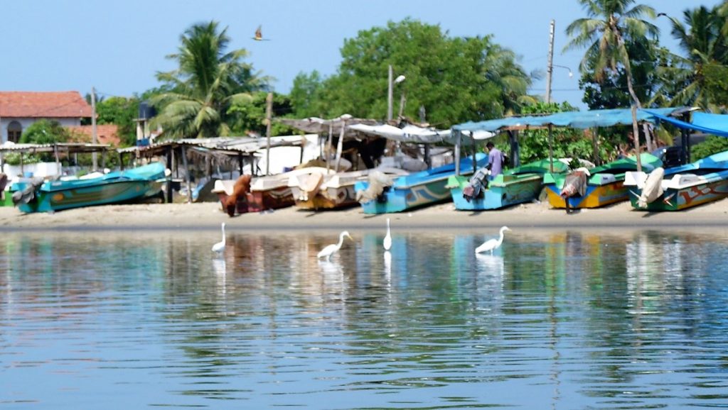 Hamilton canal Negombo