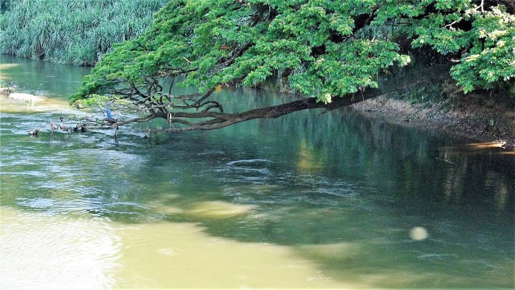 Sri Lankaan reppureissaamaan