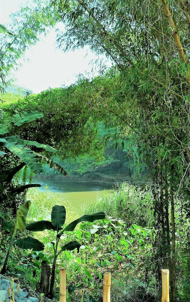 Sri Lanka Ayurveda-puutarha