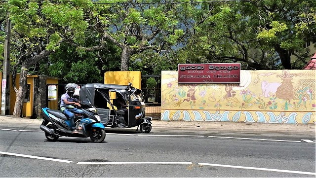 Sri Lankaan reppureissaamaan