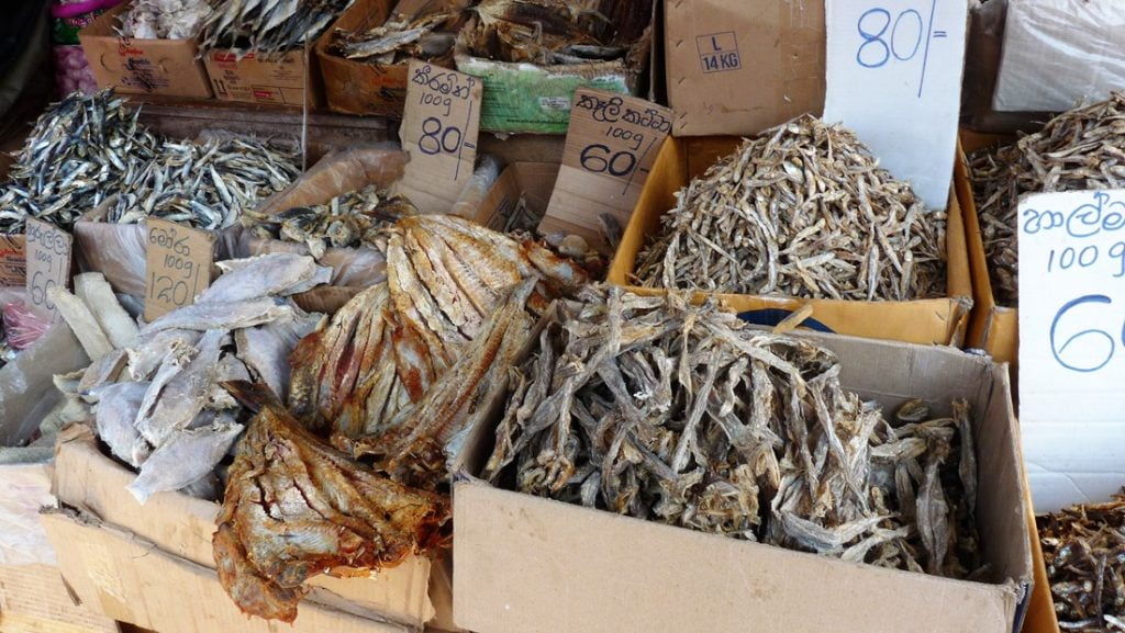 Sri Lankaan reppureissaamaan