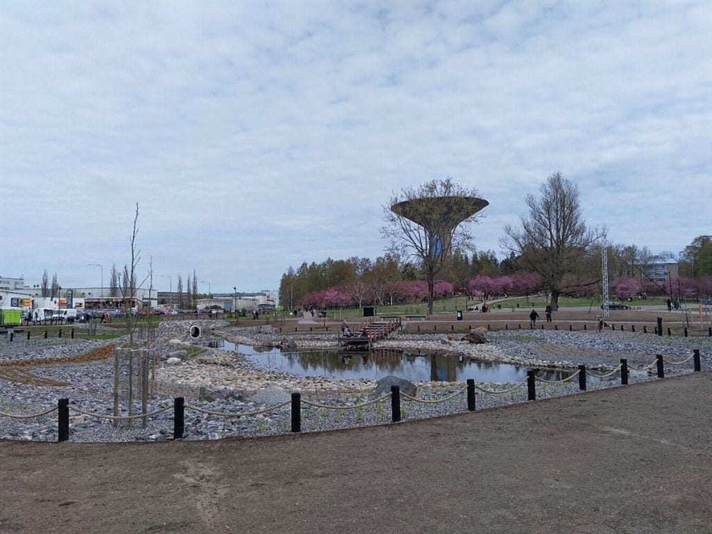 Roihuvuoren kirsikkapuisto