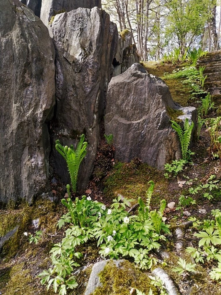 Roihuvuoren japanilainen puisto