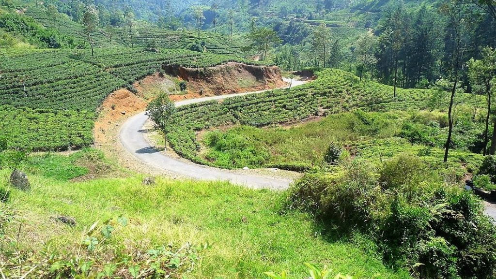 Junalla Sri Lankassa - Kandysta Ellaan