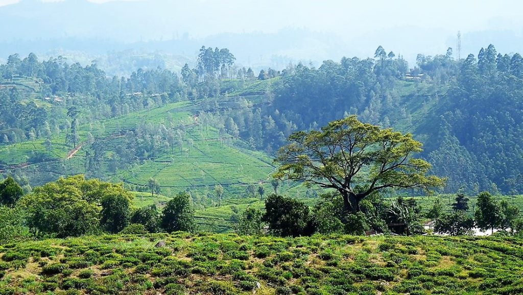 Junalla Sri Lankassa - Kandysta Ellaan