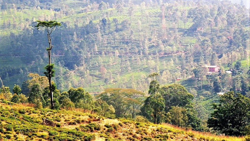 Junalla Sri Lankassa - Kandysta Ellaan