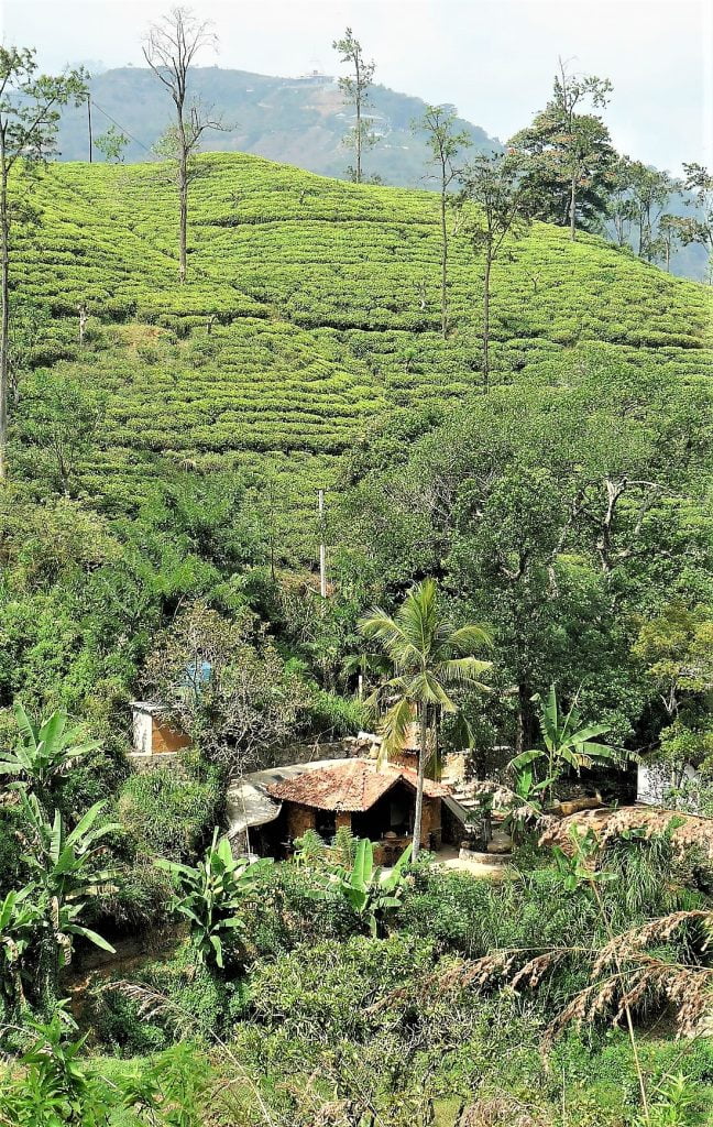 Sri Lanka - Ihana Ella