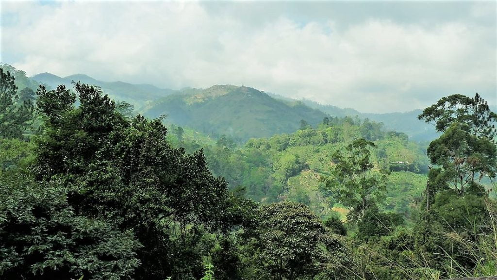 Sri Lanka - Ihana Ella