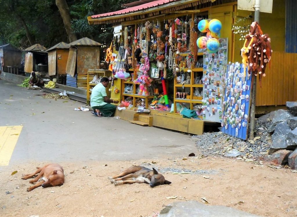 Sri Lanka - Ravana Falls
