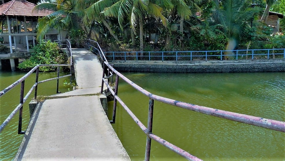 Kohti avaraa maailmaa Tangalle