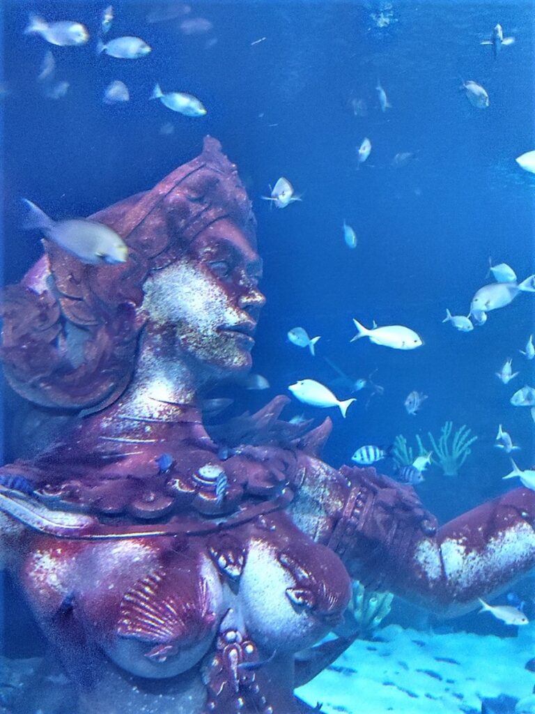 Aquaria Phuket patsas