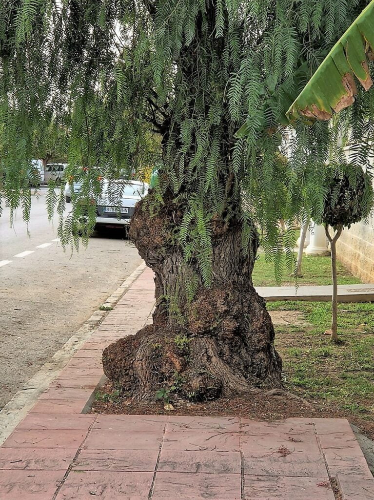 Mietintäloma Guadarmarissa lähellä Malagaa