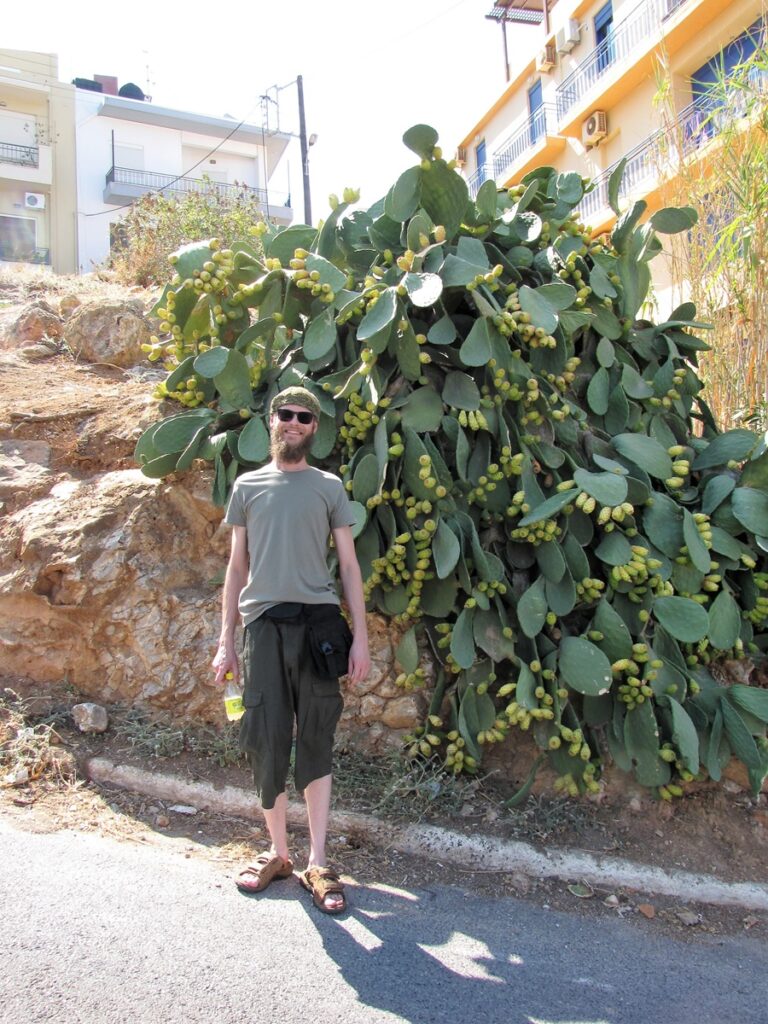 Agios Nikolaos kuvina vuonna 2017