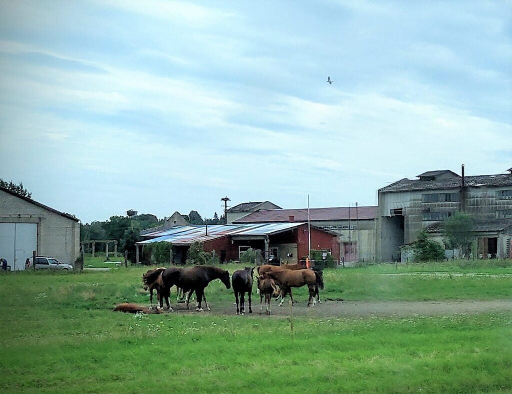 Pärnu - Kohti avaraa maailmaa