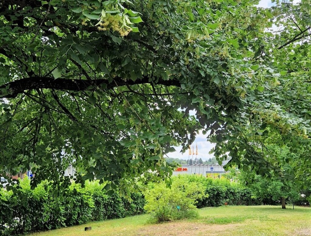 Kellokosken sairaalamuseo