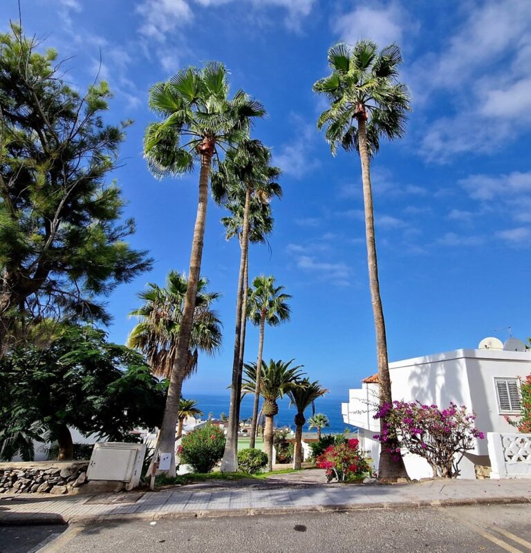 Los Gigantes - Kohti avaraa maailmaa