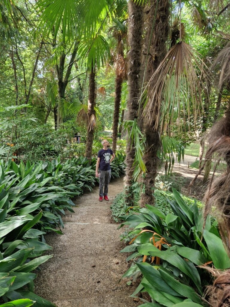Matka aikojen yli - Padovan kasvitieteellinen puutarha Orto Botanico