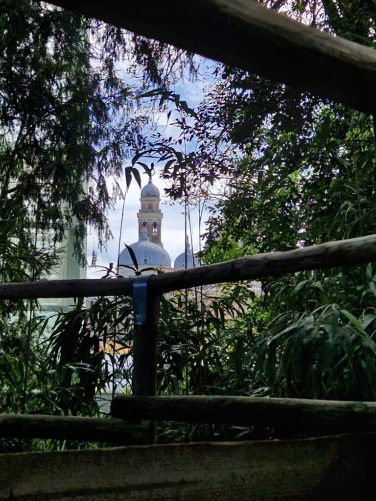 Matka aikojen yli - Padovan kasvitieteellinen puutarha Orto Botanico