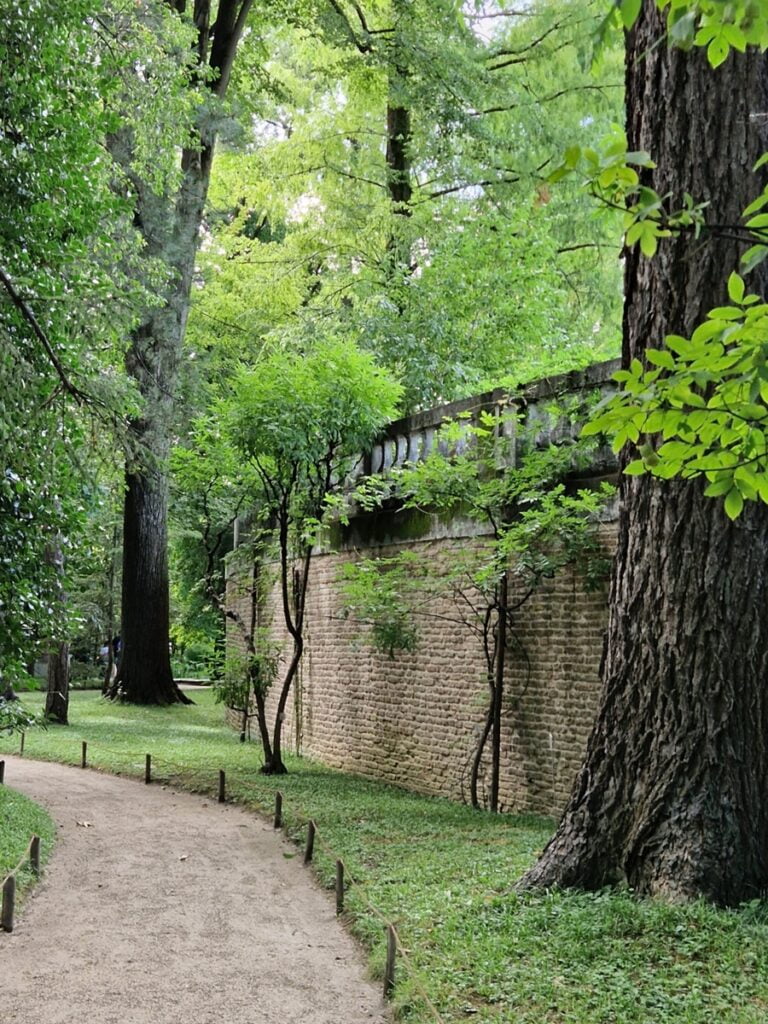 Orto Botanico - Kohti avaraa maailmaa