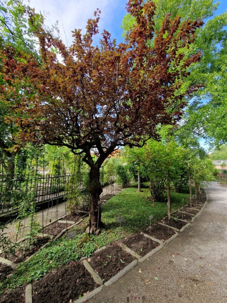 Orto Botanico - Kohti avaraa maailmaa