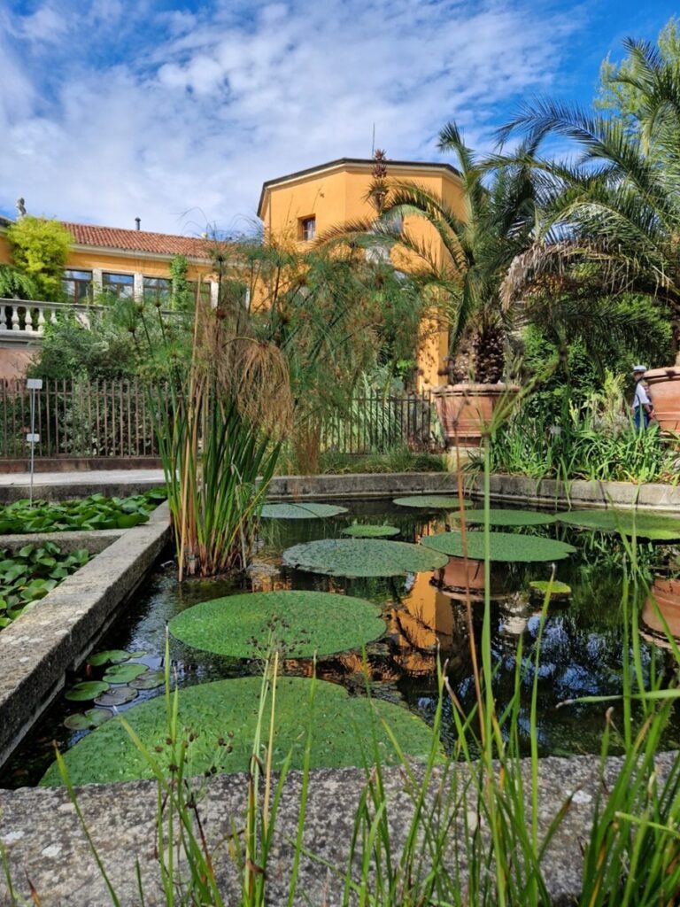 Orto Botanico - Kohti avaraa maailmaa