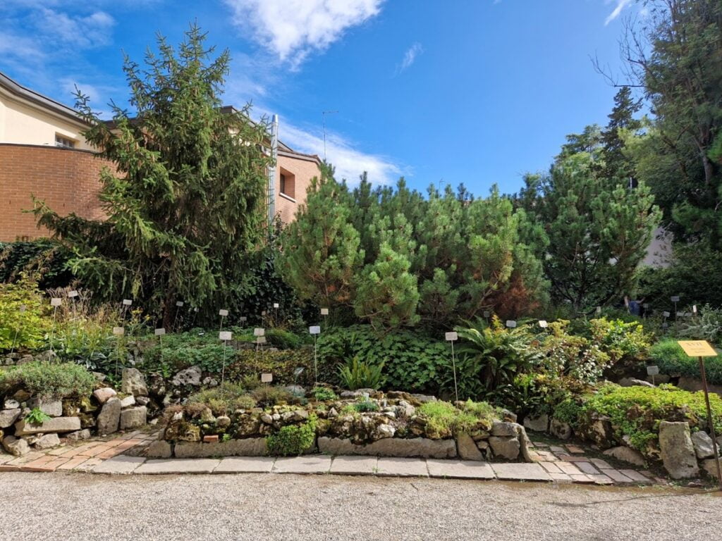 Orto Botanico - Kohti avaraa maailmaa