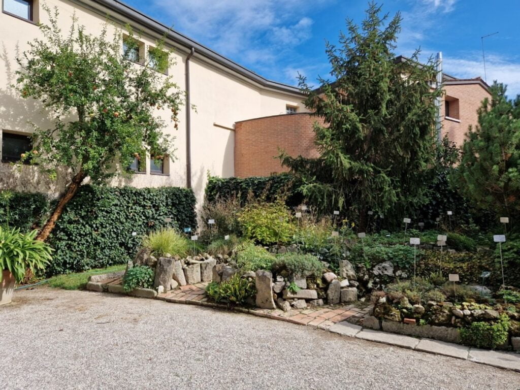 Orto Botanico - Kohti avaraa maailmaa