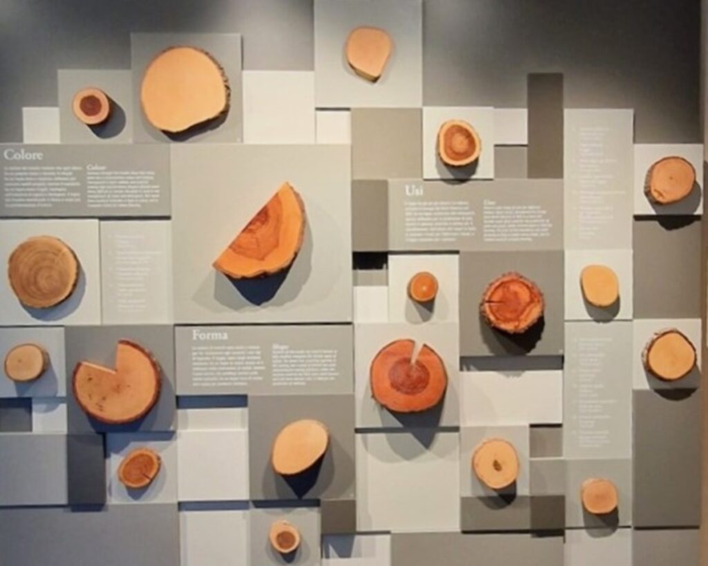 Orto Botanico - Kohti avaraa maailmaa