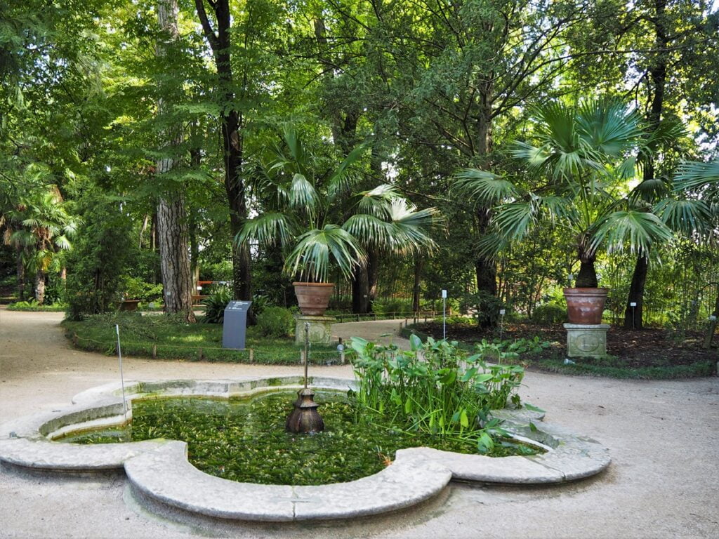 Orto Botanico - Kohti avaraa maailmaa