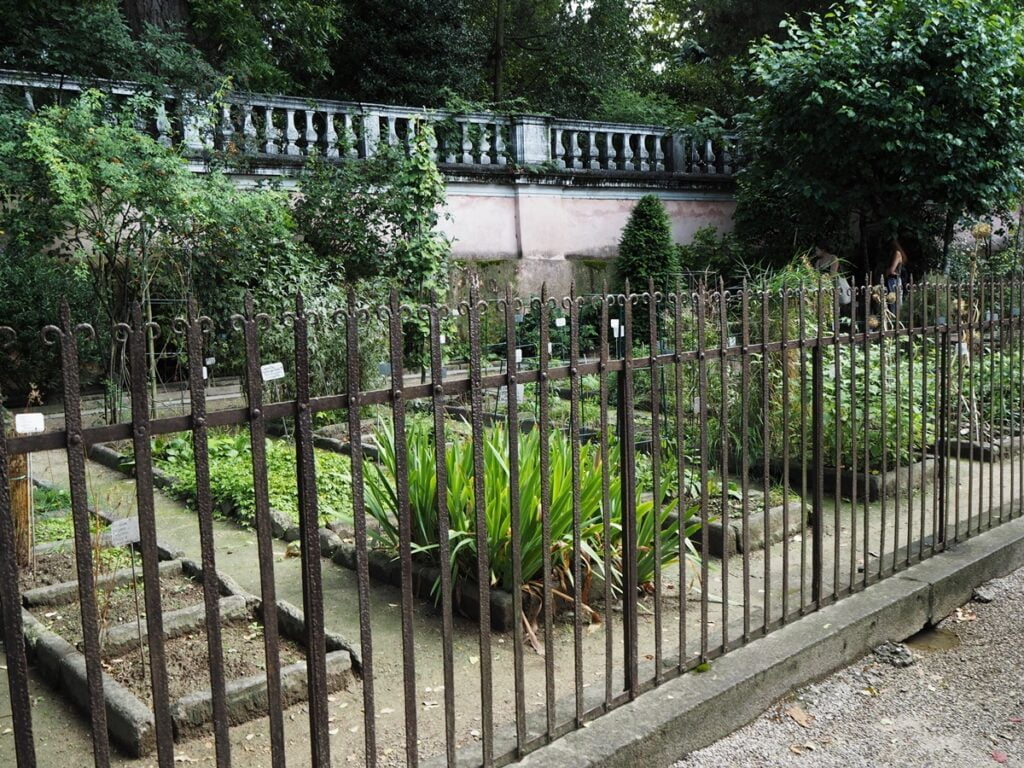 Orto Botanico - Kohti avaraa maailmaa