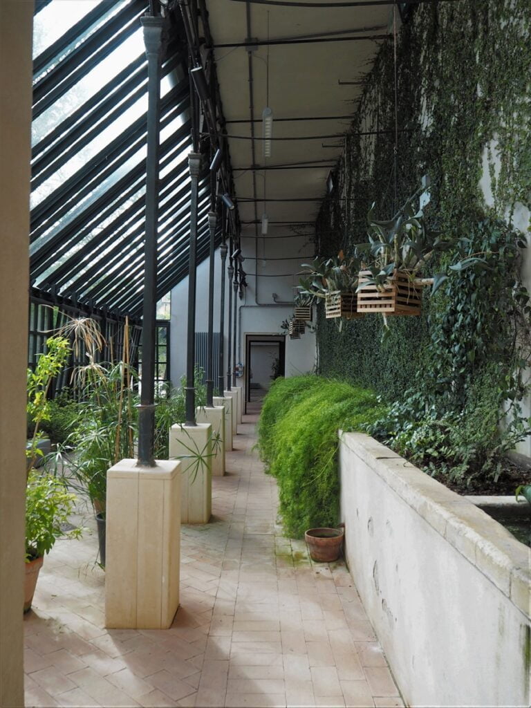 Orto Botanico - Kohti avaraa maailmaa