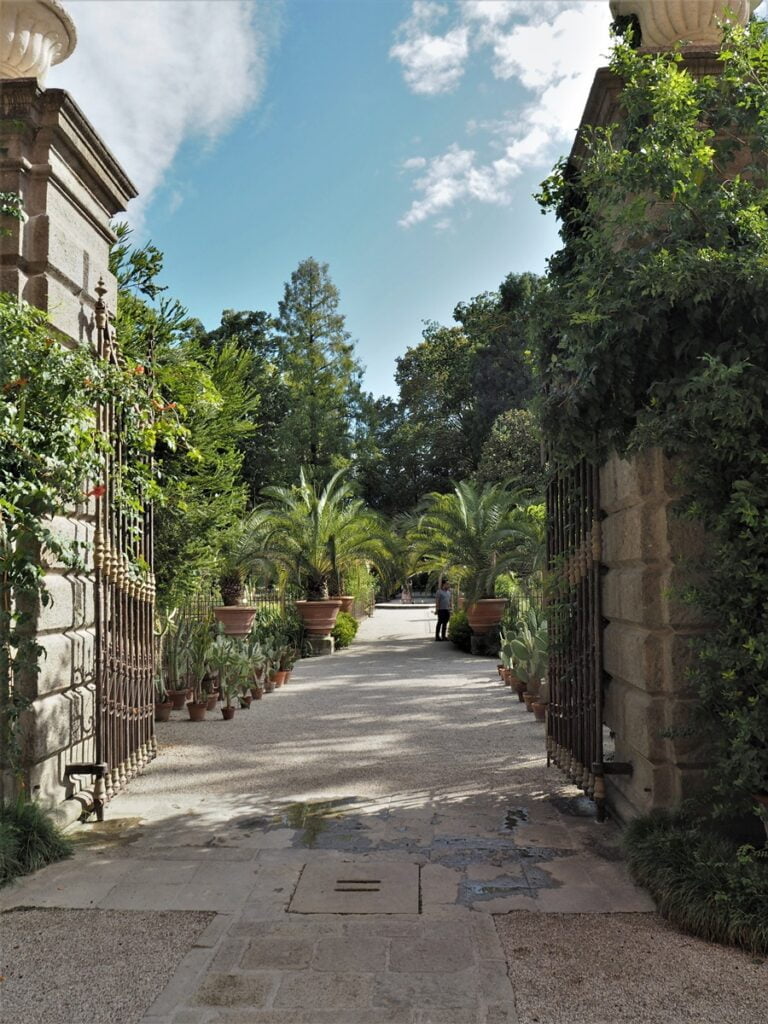 Orto Botanico - Kohti avaraa maailmaa