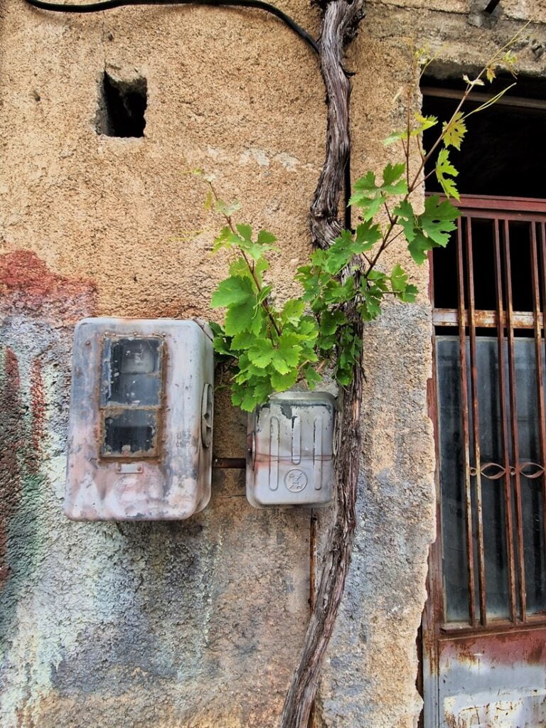 Vuoden 2023 matkojen yhteenveto ja kustannukset