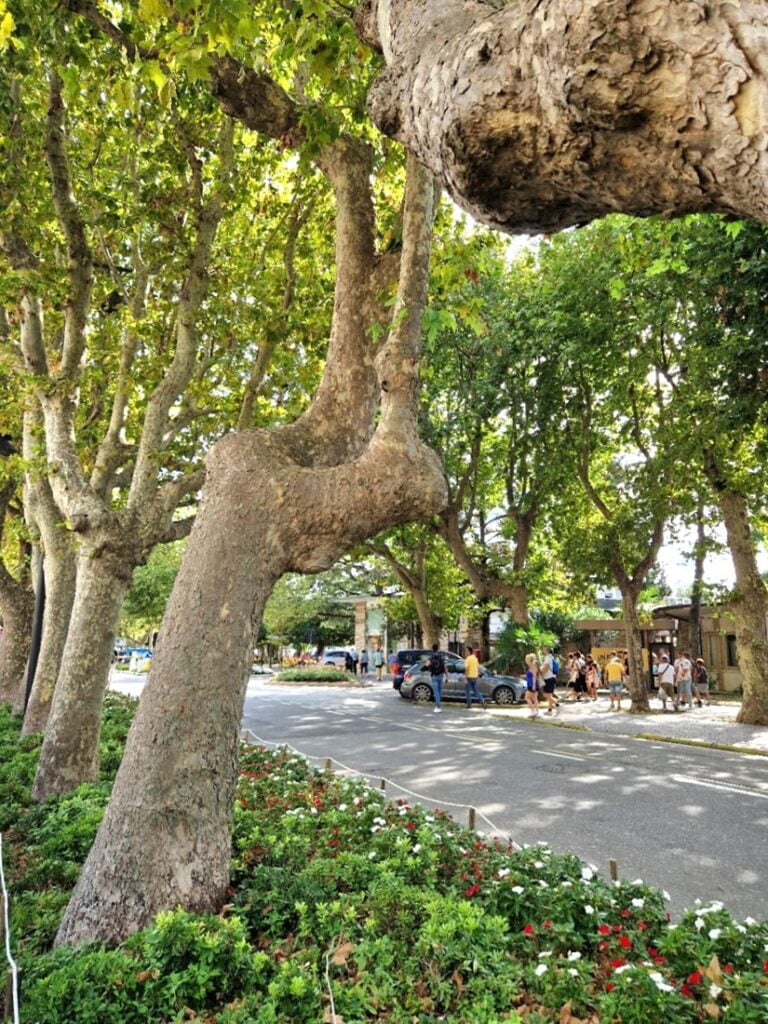 Sirmione - Kohti avaraa maailmaa