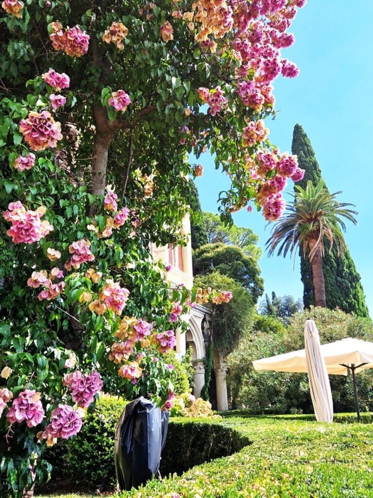 Isola del Garda - Kohti avaraa maailmaa - Bougainvillea