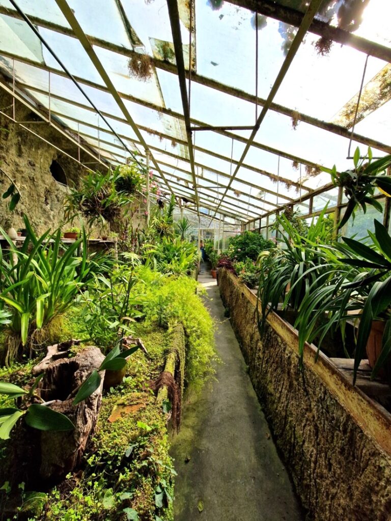 Isola del Garda - Kohti avaraa maailmaa