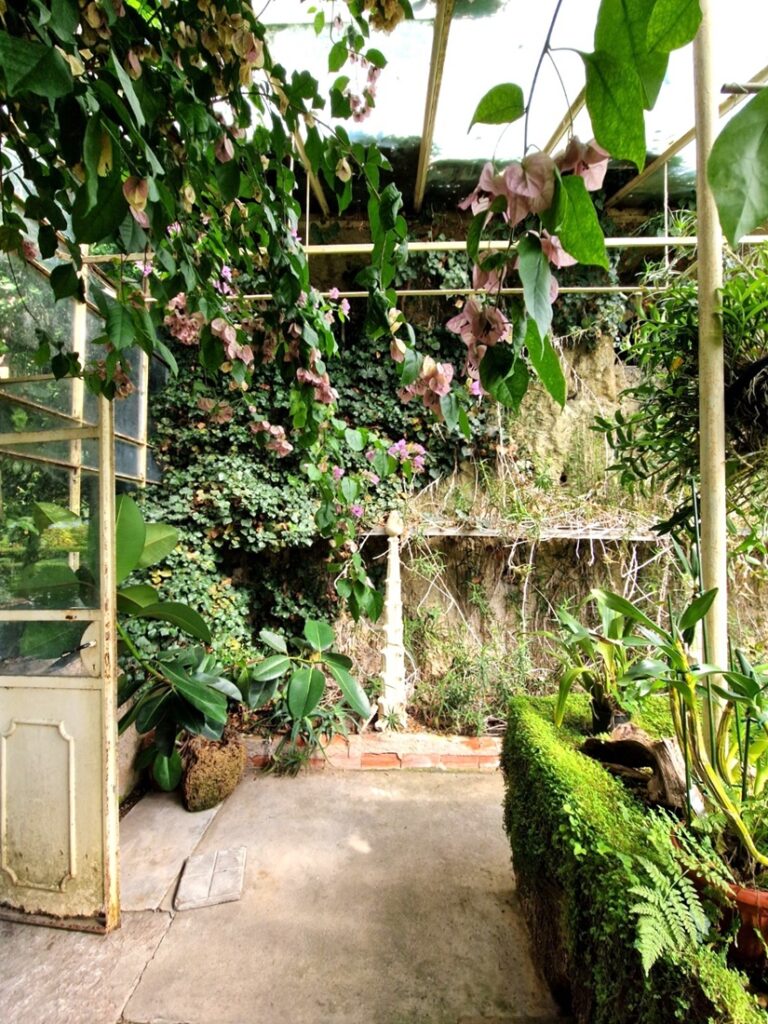 Isola del Garda - Kasvihuone - Kohti avaraa maailmaa