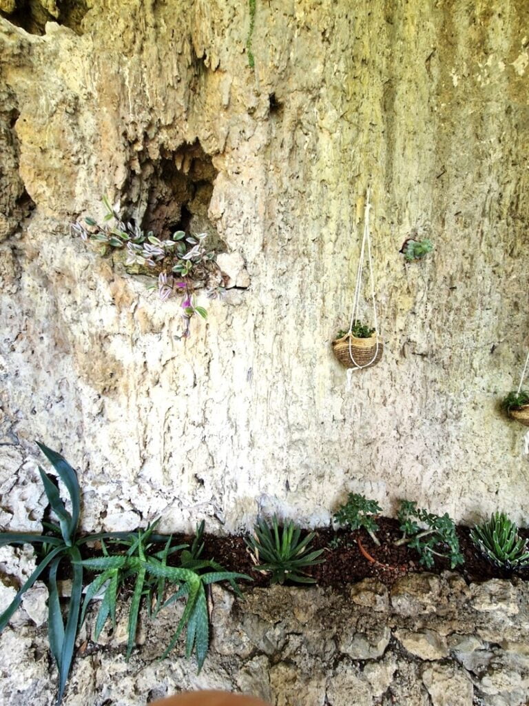 Isola del Garda - Kohti avaraa maailmaa - Riippuva puutarha