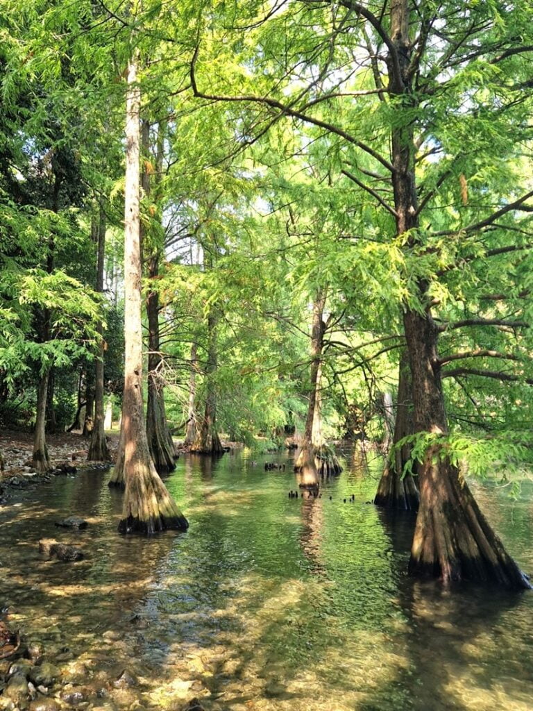Isola del Garda - Kohti avaraa maailmaa - "satumetsä"