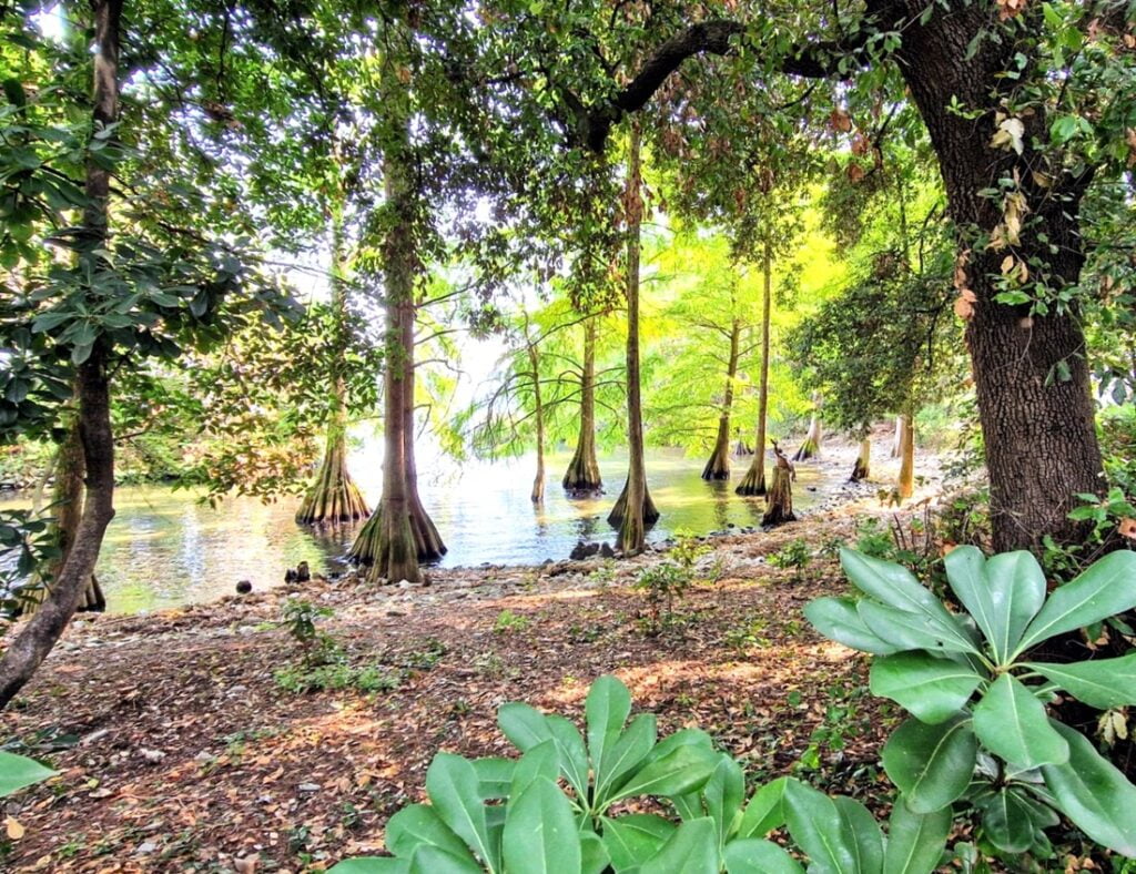 Isola del Garda - Kohti avaraa maailmaa - luonnontilassa oleva saari